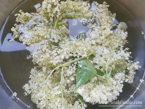 Elderflower Syrup Recipe