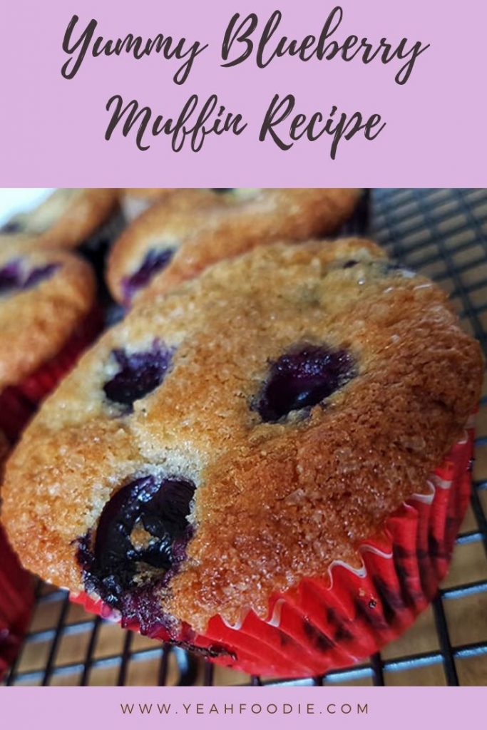 Yummy Blueberry Muffin Recipe